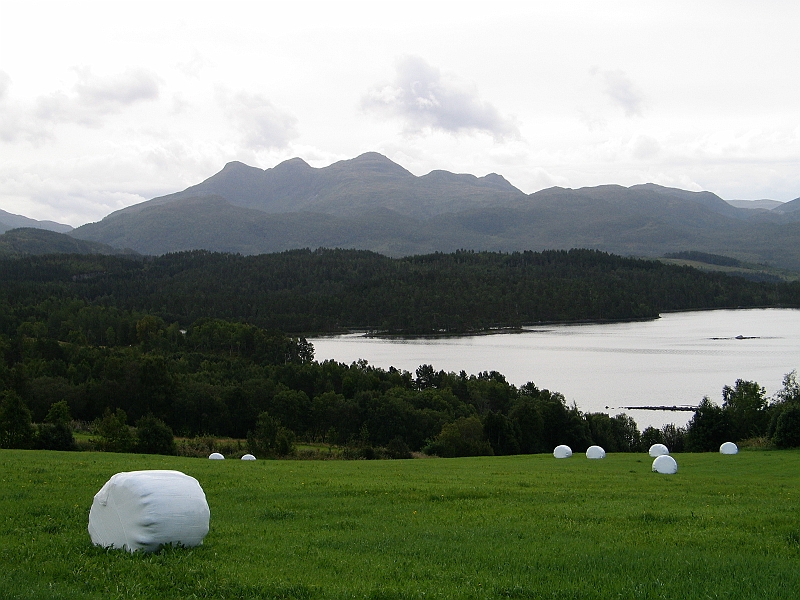 Original image